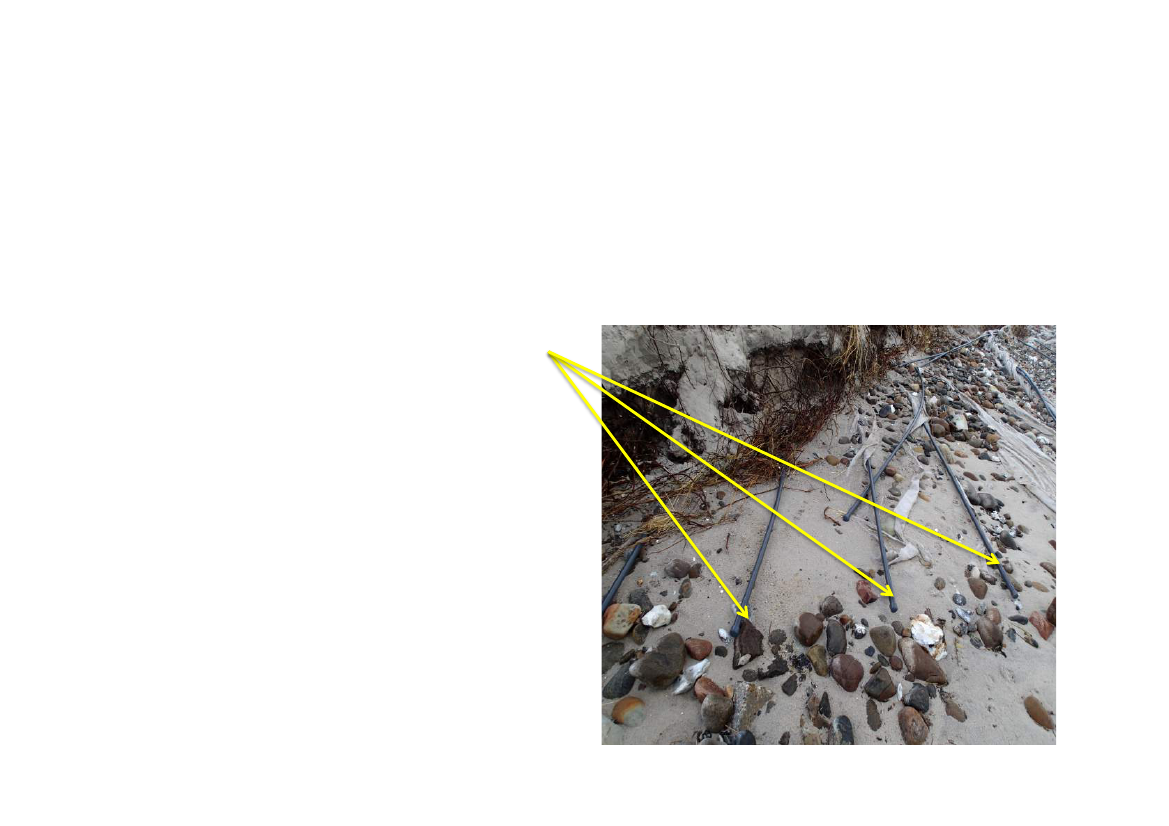 1712406_0004.png