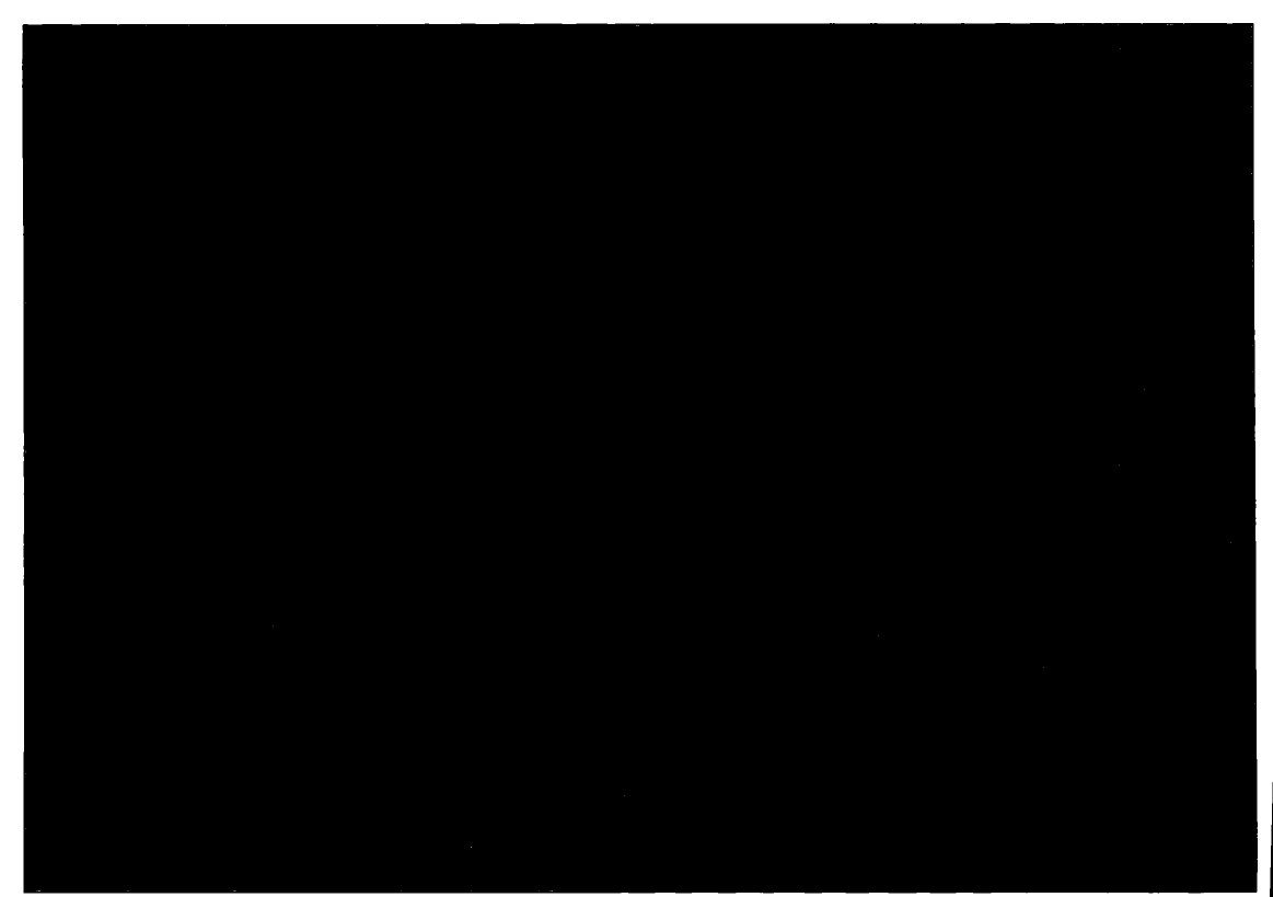 1723719_0099.png