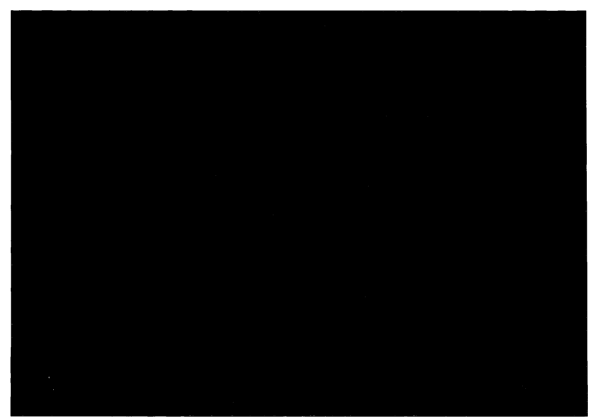 1723719_0142.png