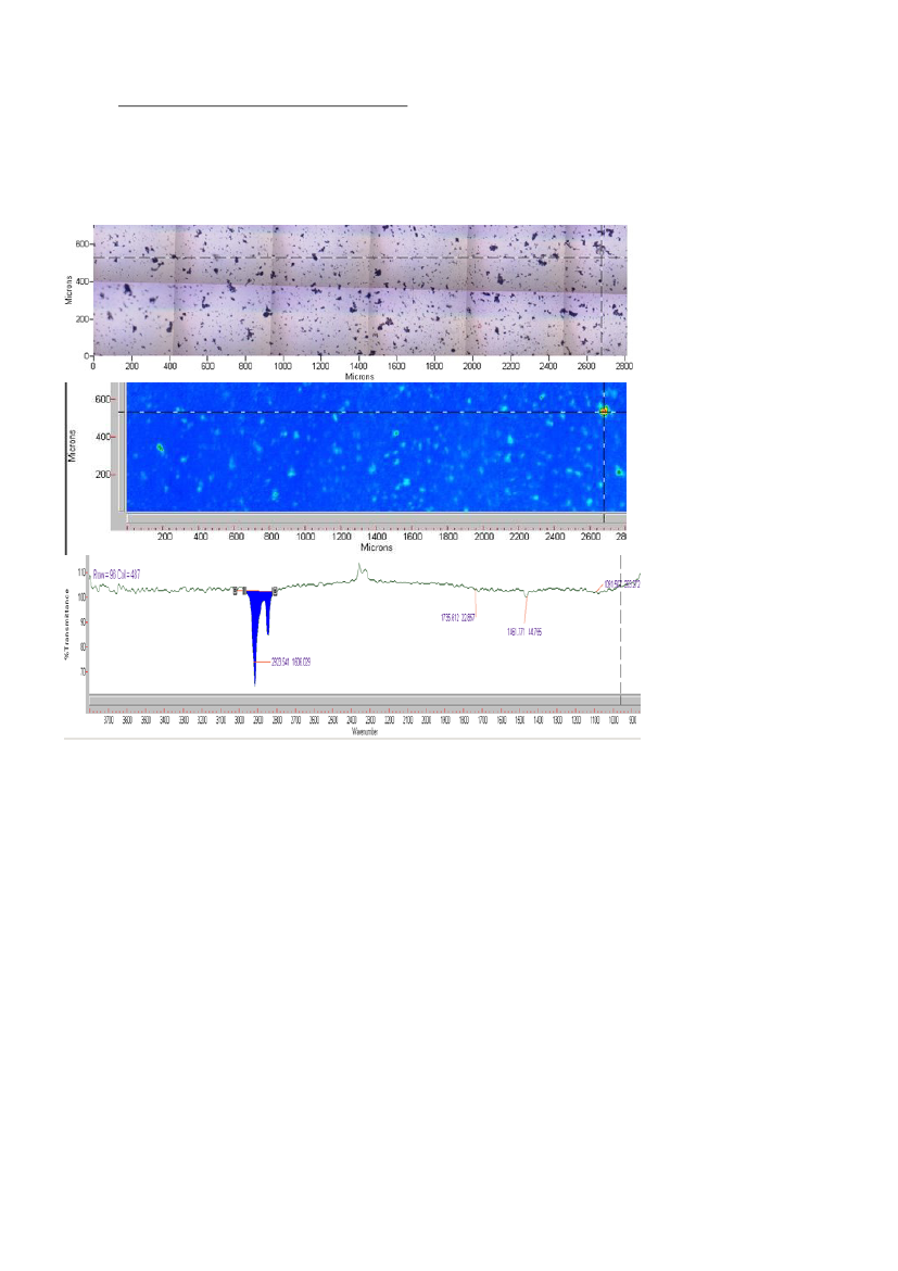 1731794_0017.png