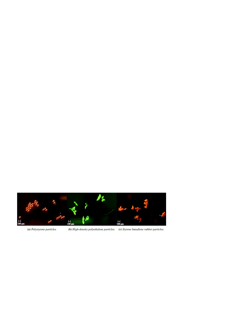 1731794_0047.png