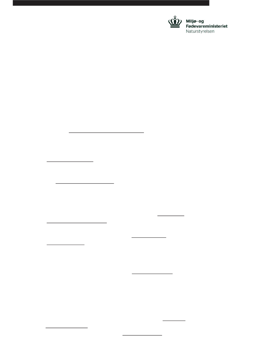 1735999_0031.png
