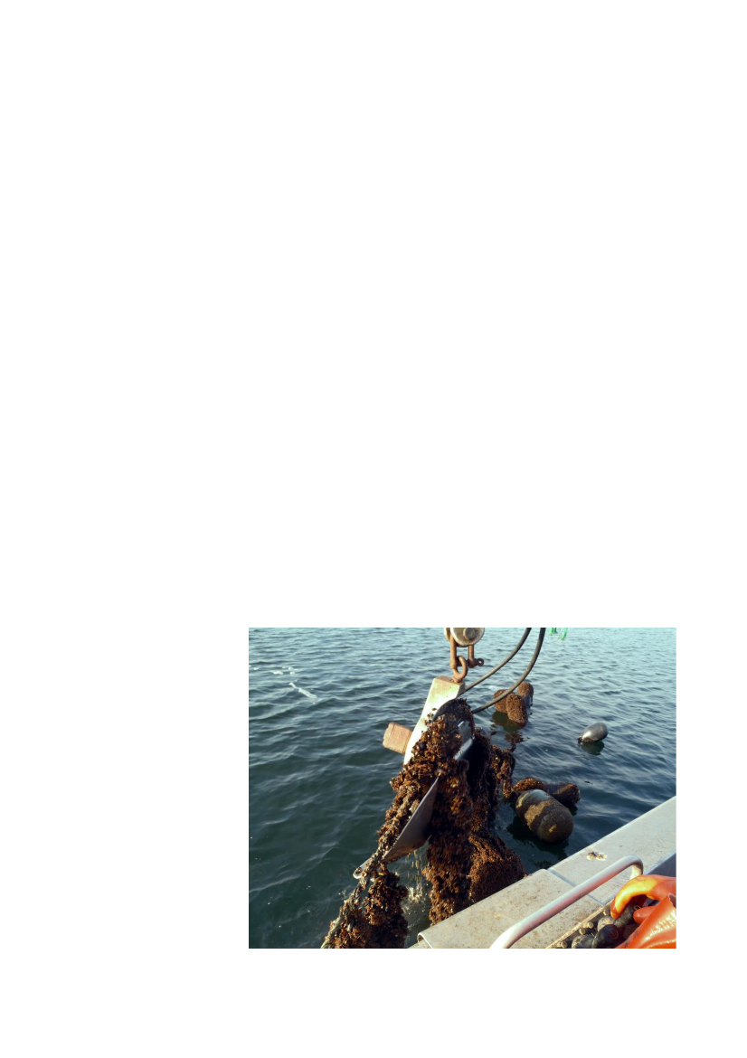 1737590_0004.png