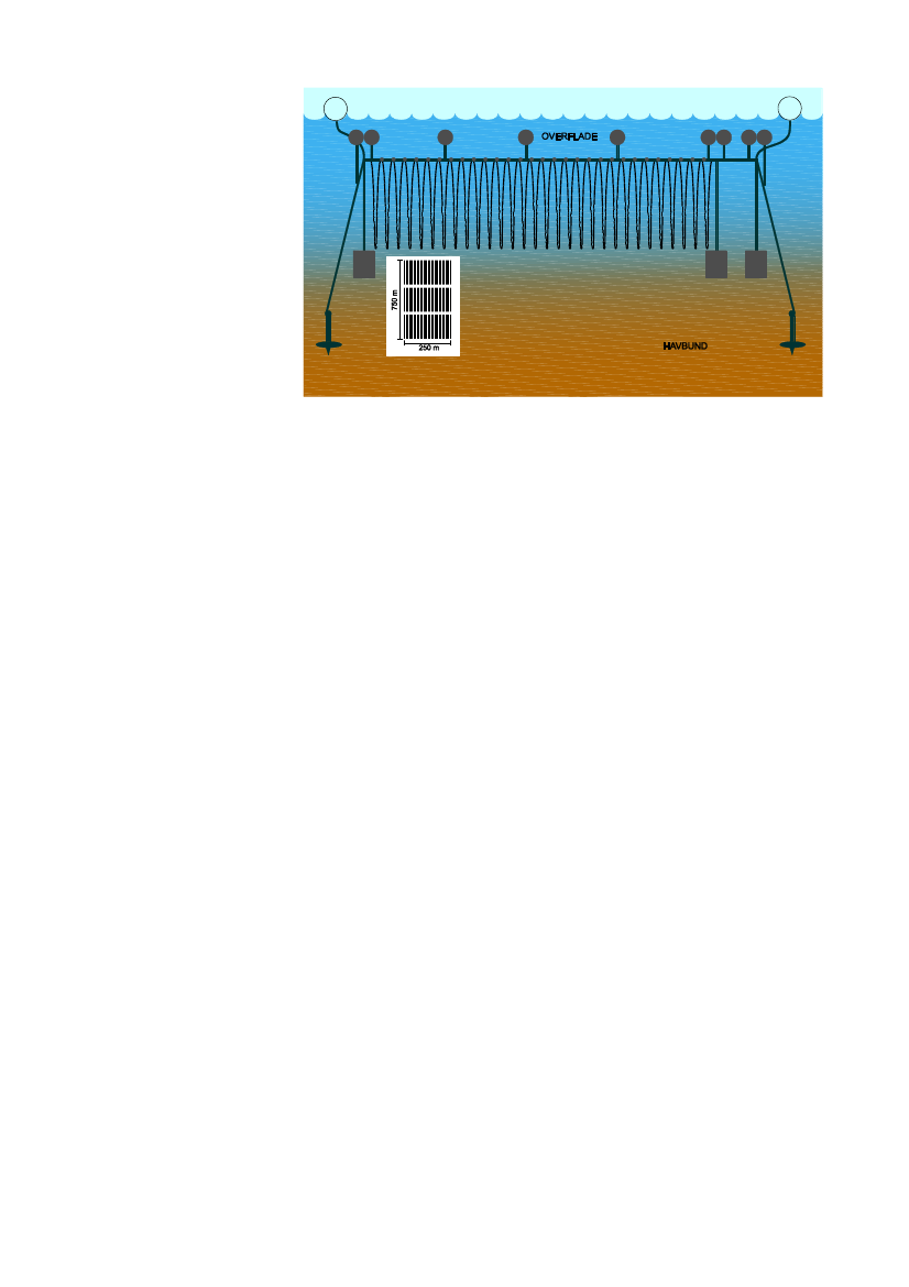 1737590_0008.png