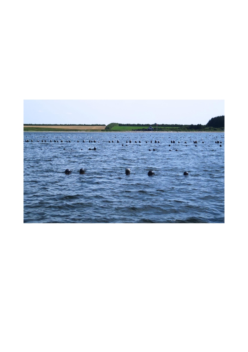 1737590_0009.png