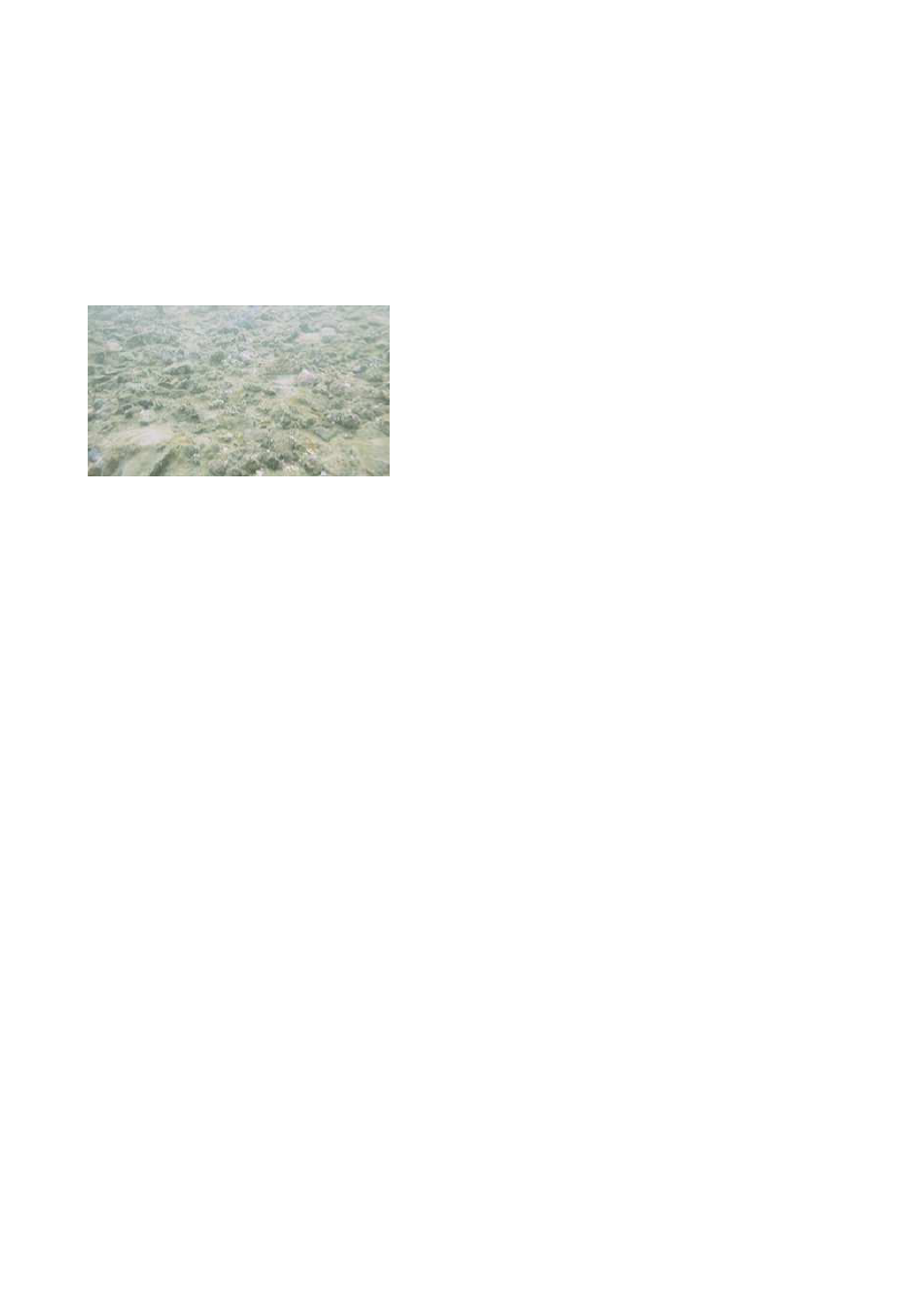 1737591_0010.png