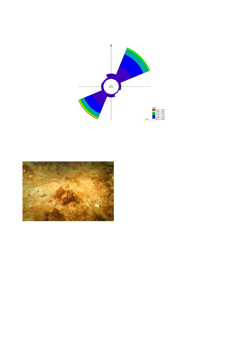 1737591_0011.png