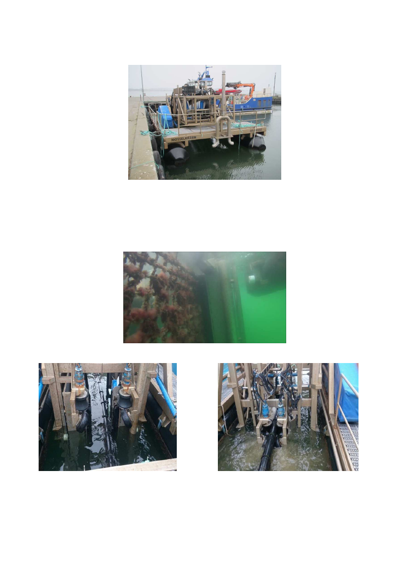 1737591_0014.png