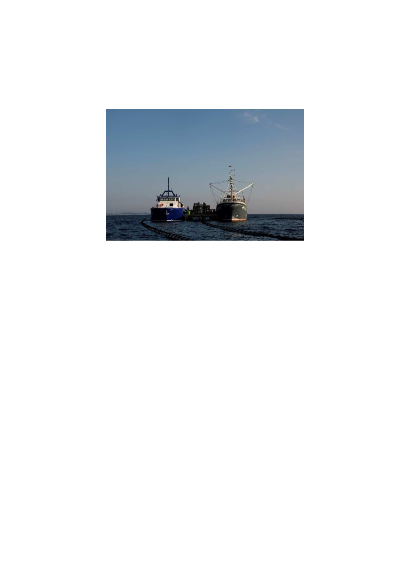 1737591_0015.png