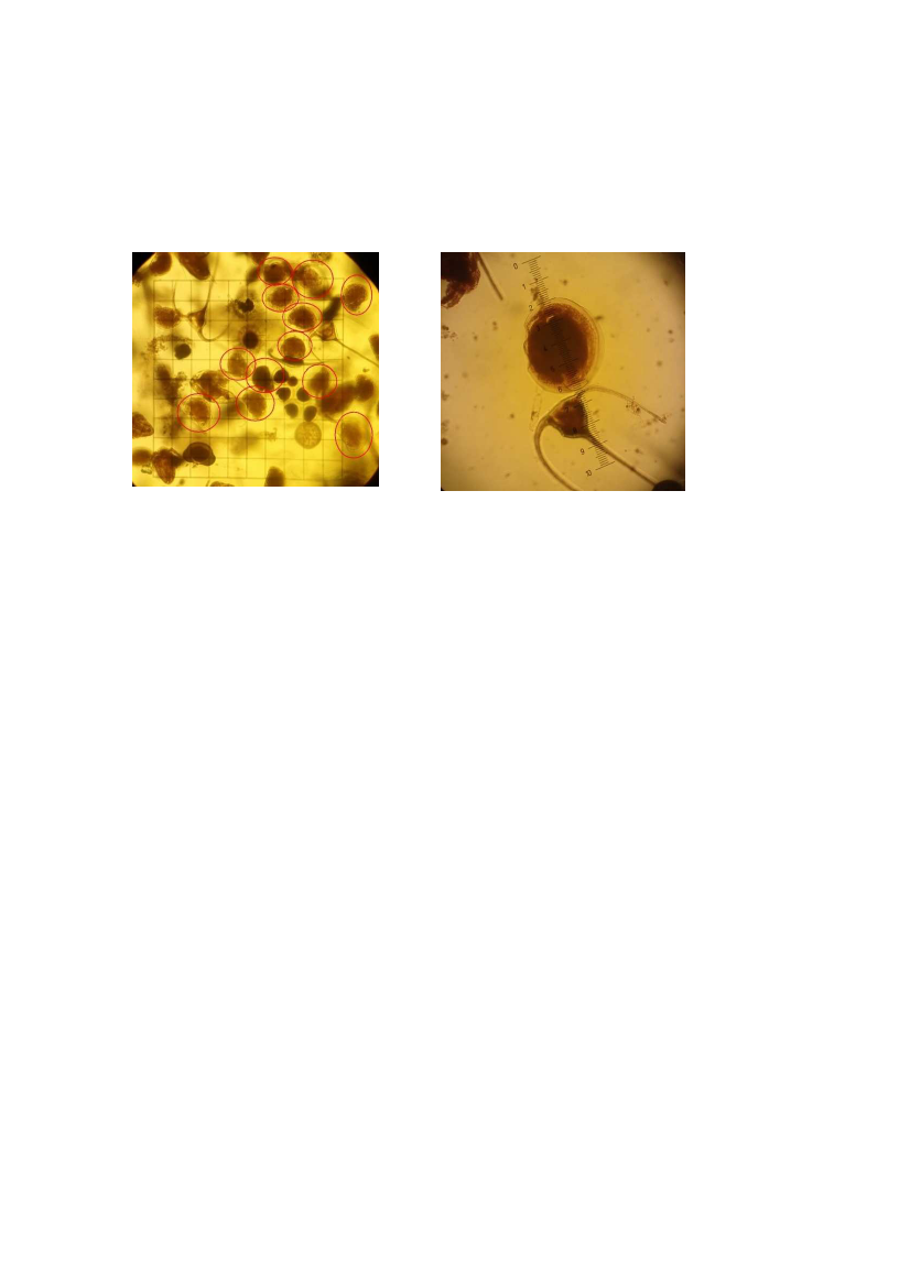 1737591_0022.png