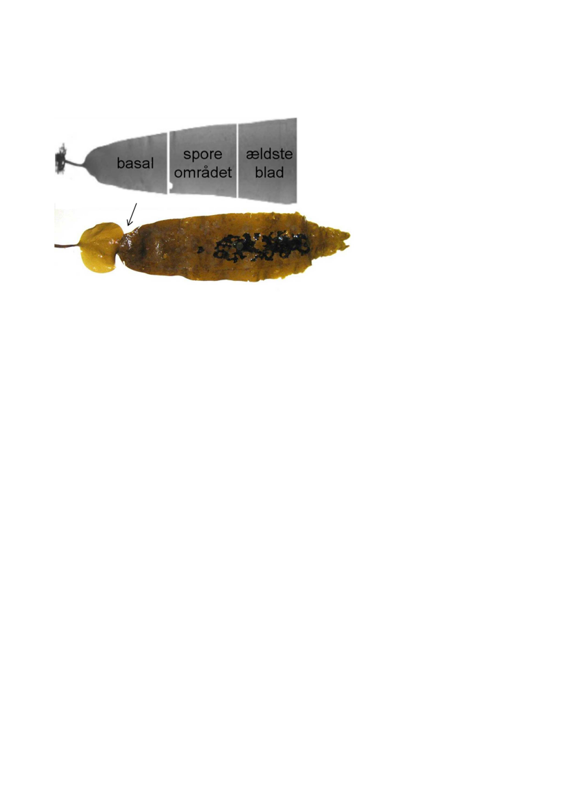 1737591_0054.png