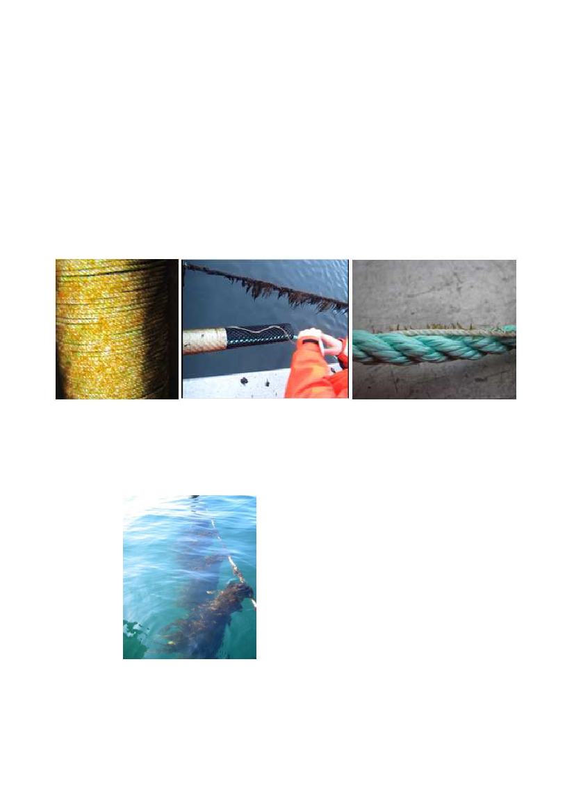 1737591_0056.png