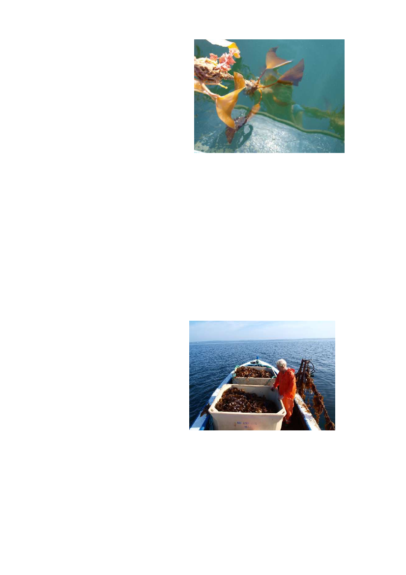 1737591_0060.png