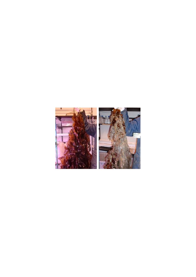 1737591_0065.png