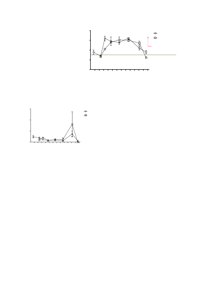 1737591_0086.png