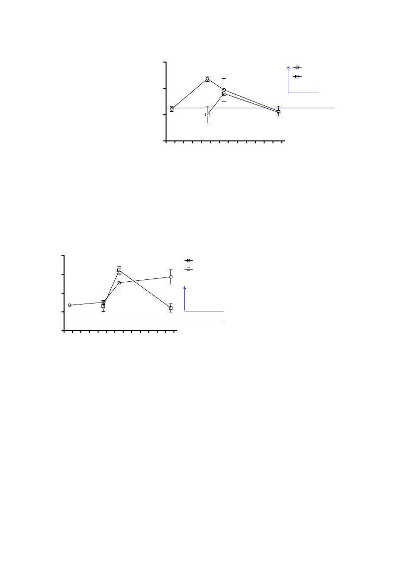 1737591_0087.png