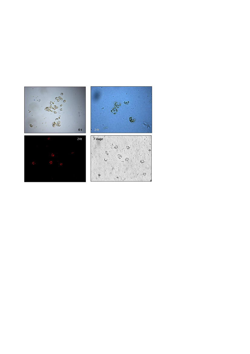 1737591_0094.png