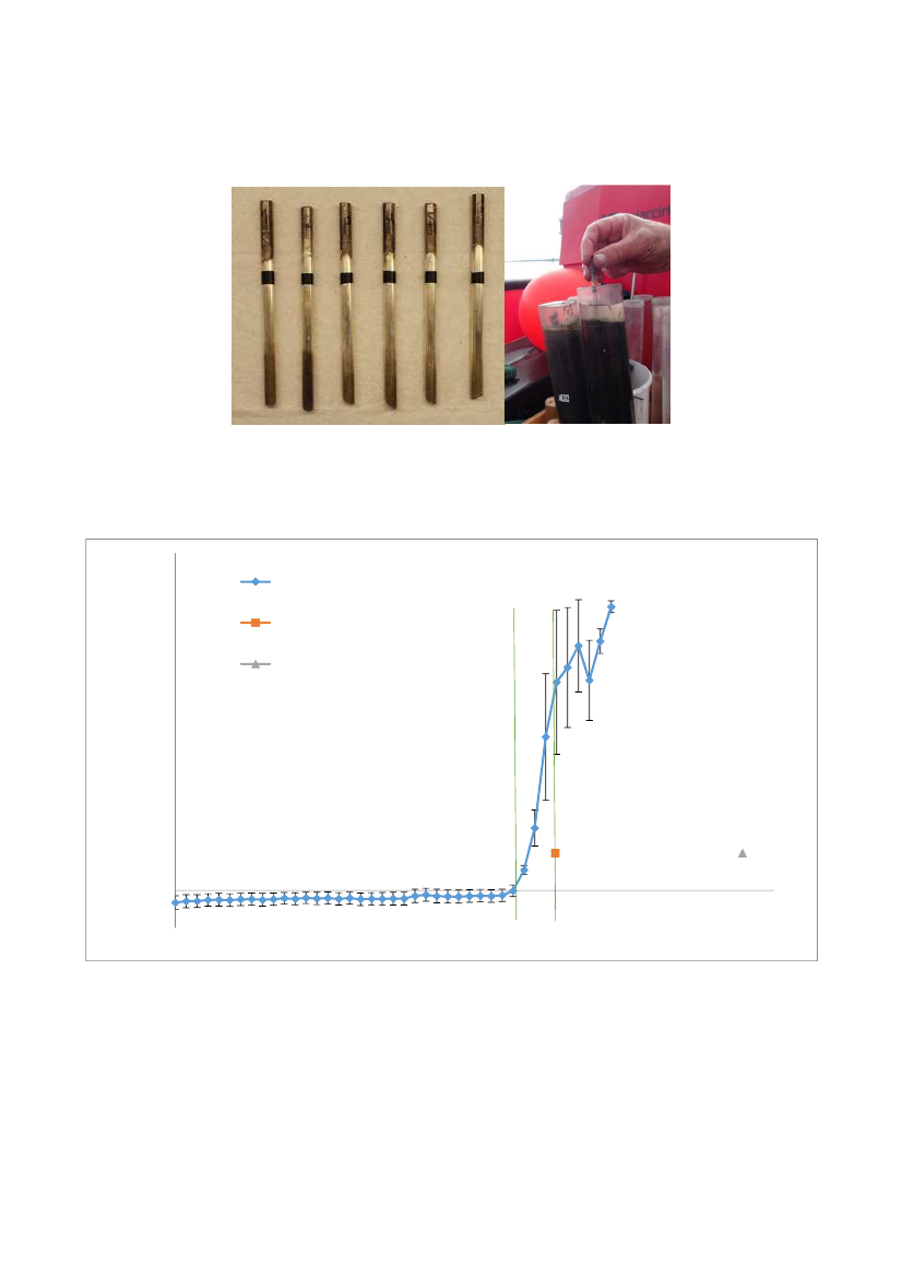 1737591_0108.png