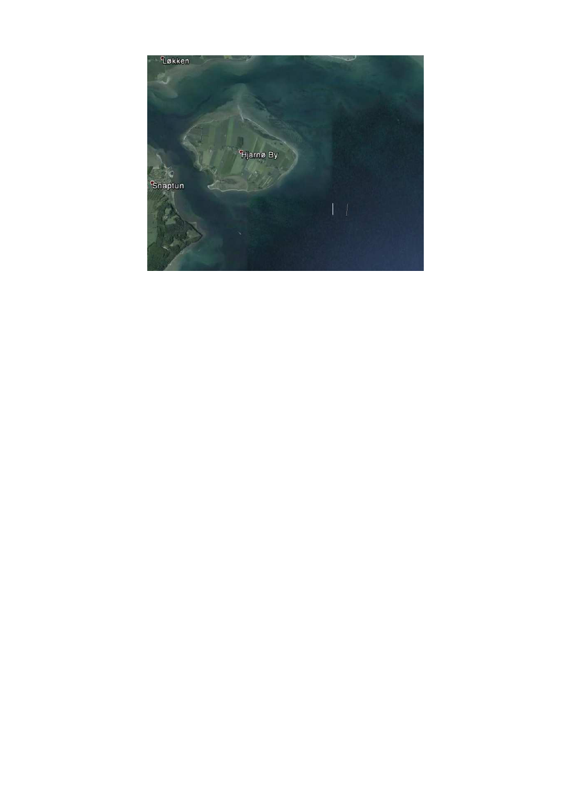 1737591_0113.png