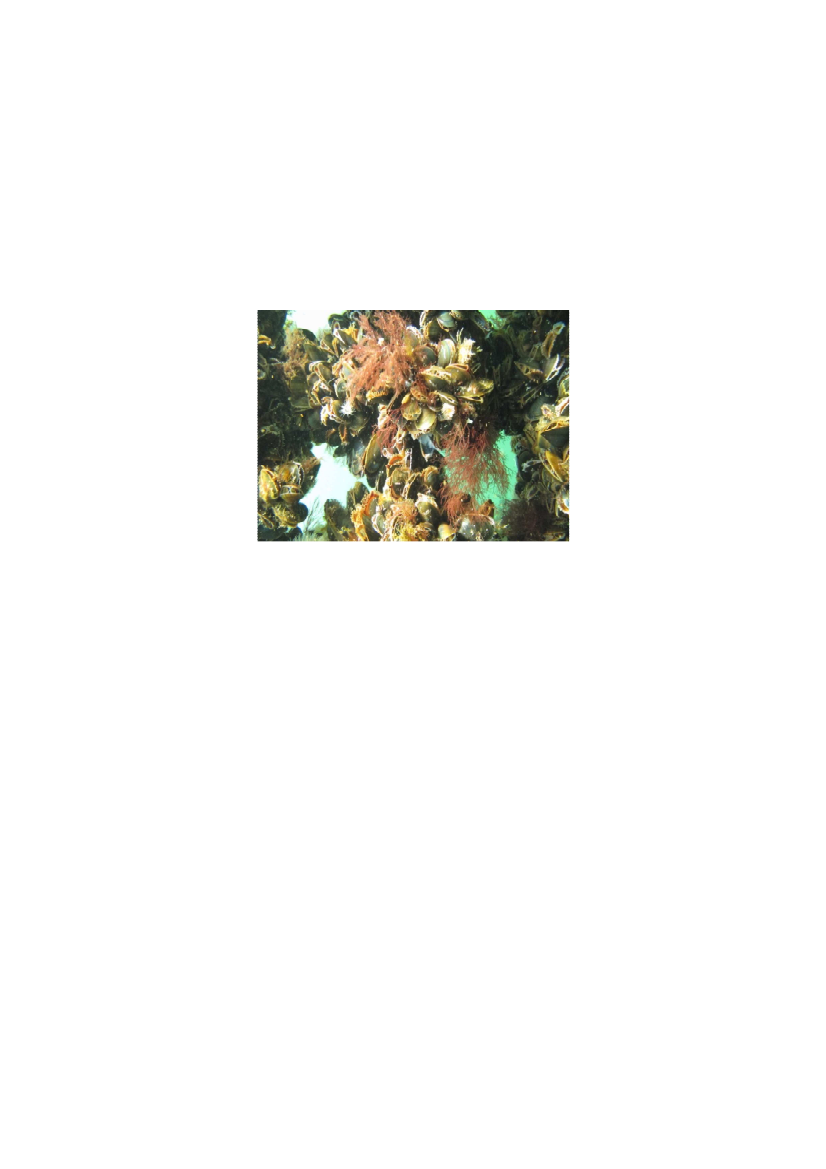 1737591_0117.png