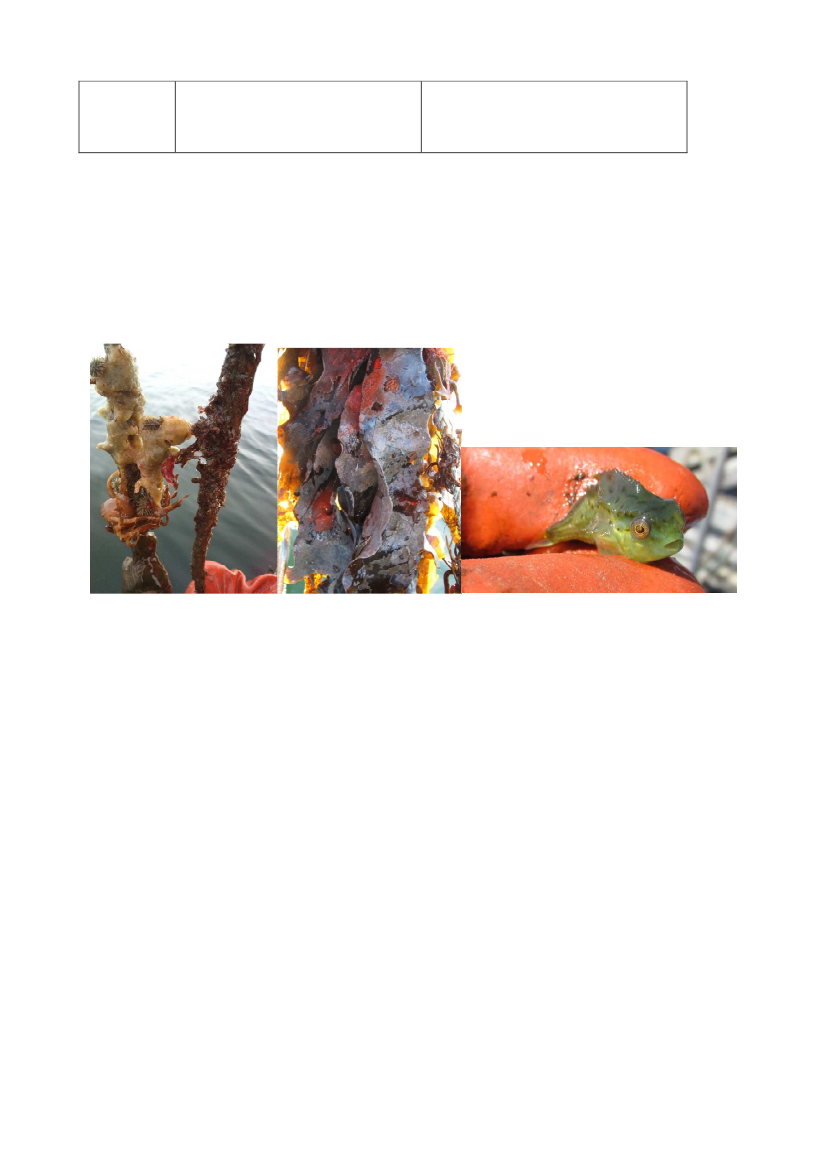 1737591_0120.png