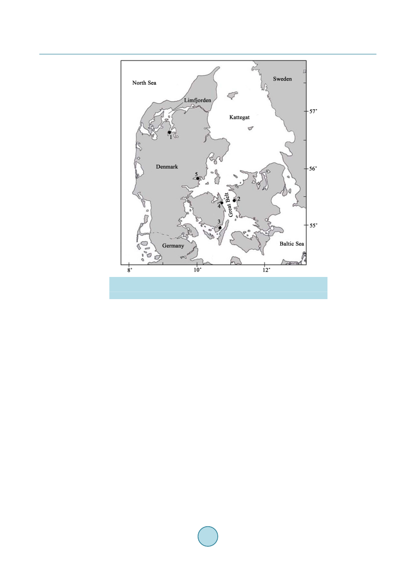 1737593_0003.png