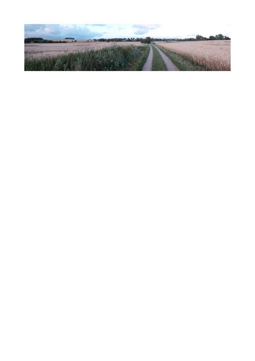 1864776_0014.png