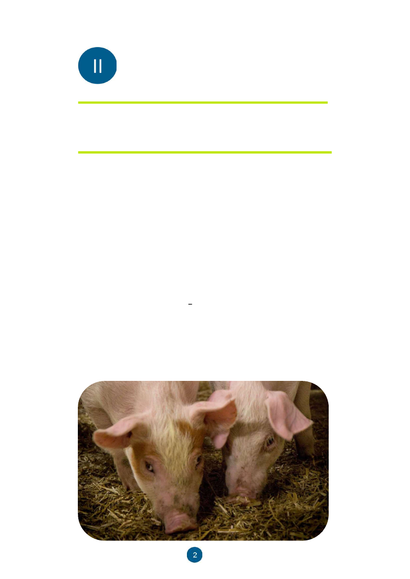 1889916_0011.png