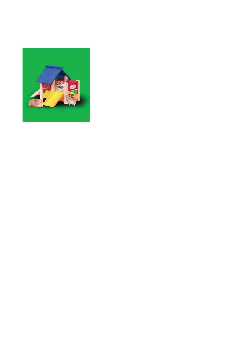 1981726_0006.png