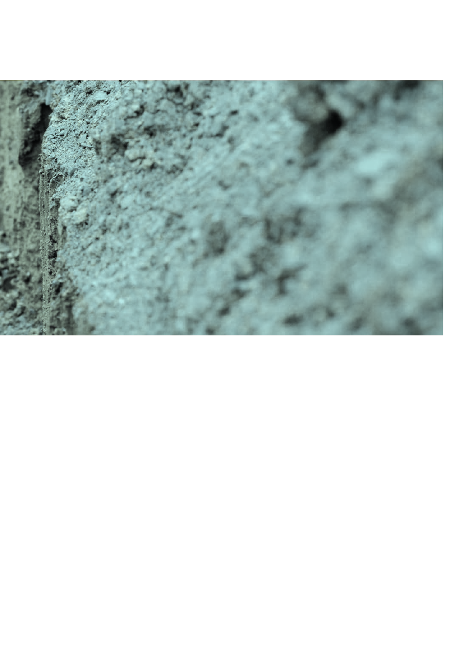 1428012_0029.png
