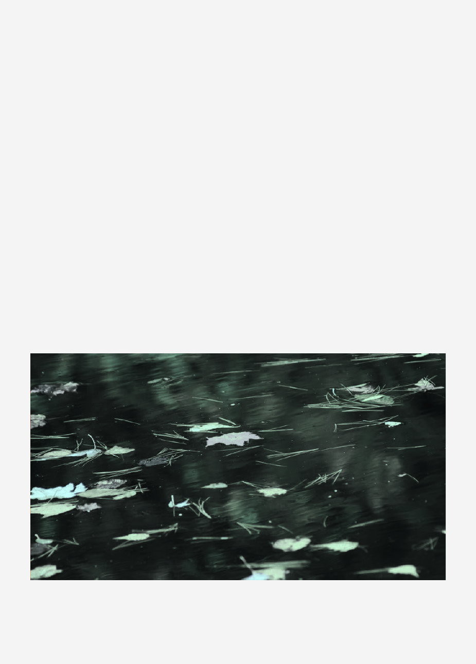 1428012_0158.png