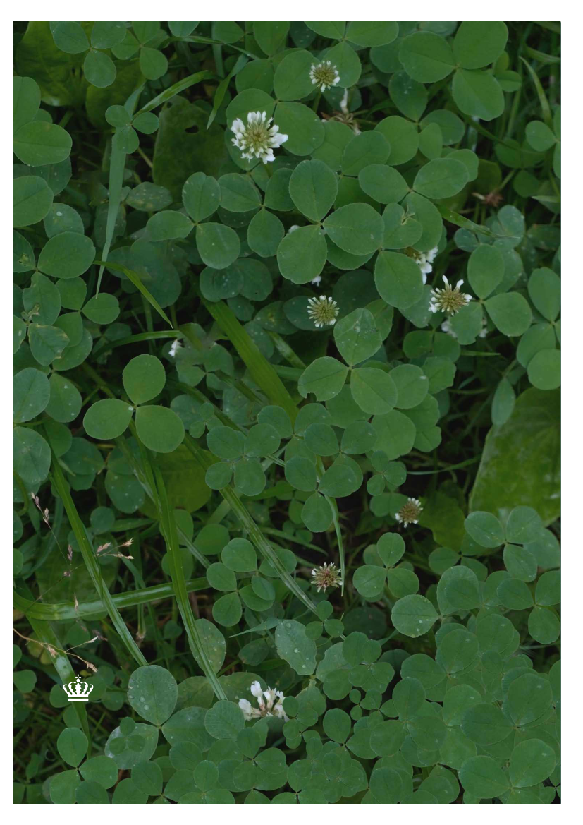 2259605_0062.png