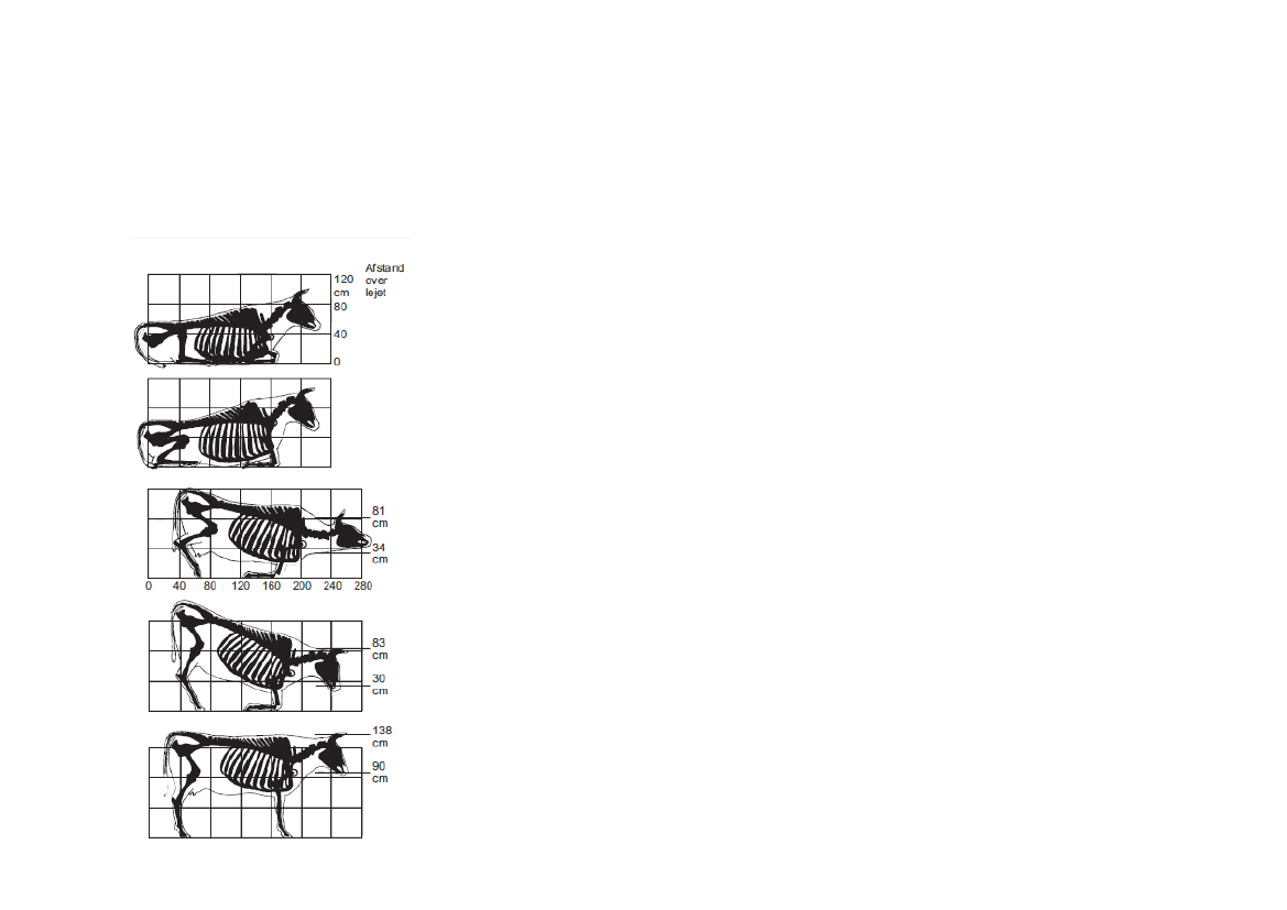 2259608_0239.png