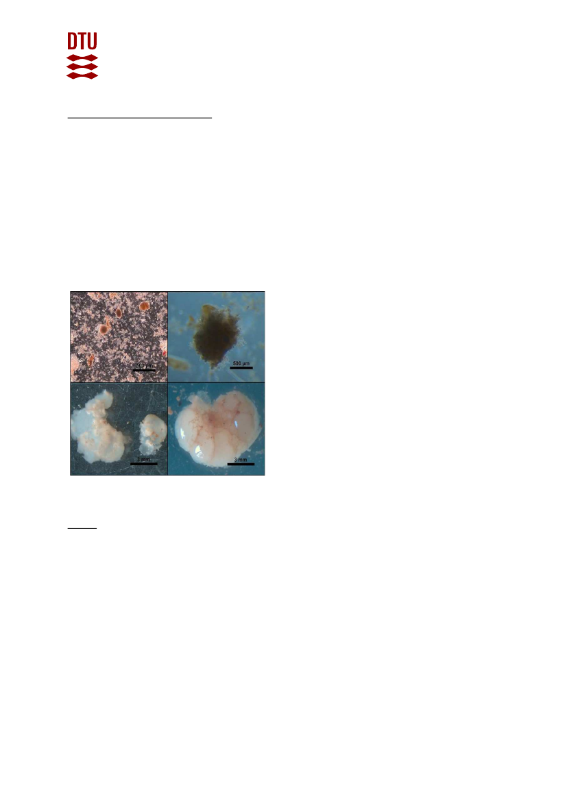 2406443_0008.png