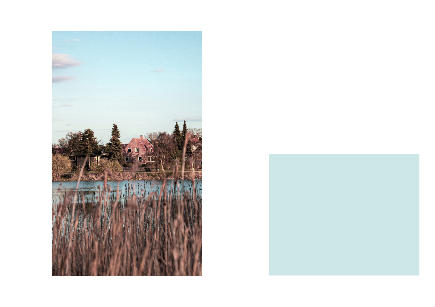 2467518_0003.png