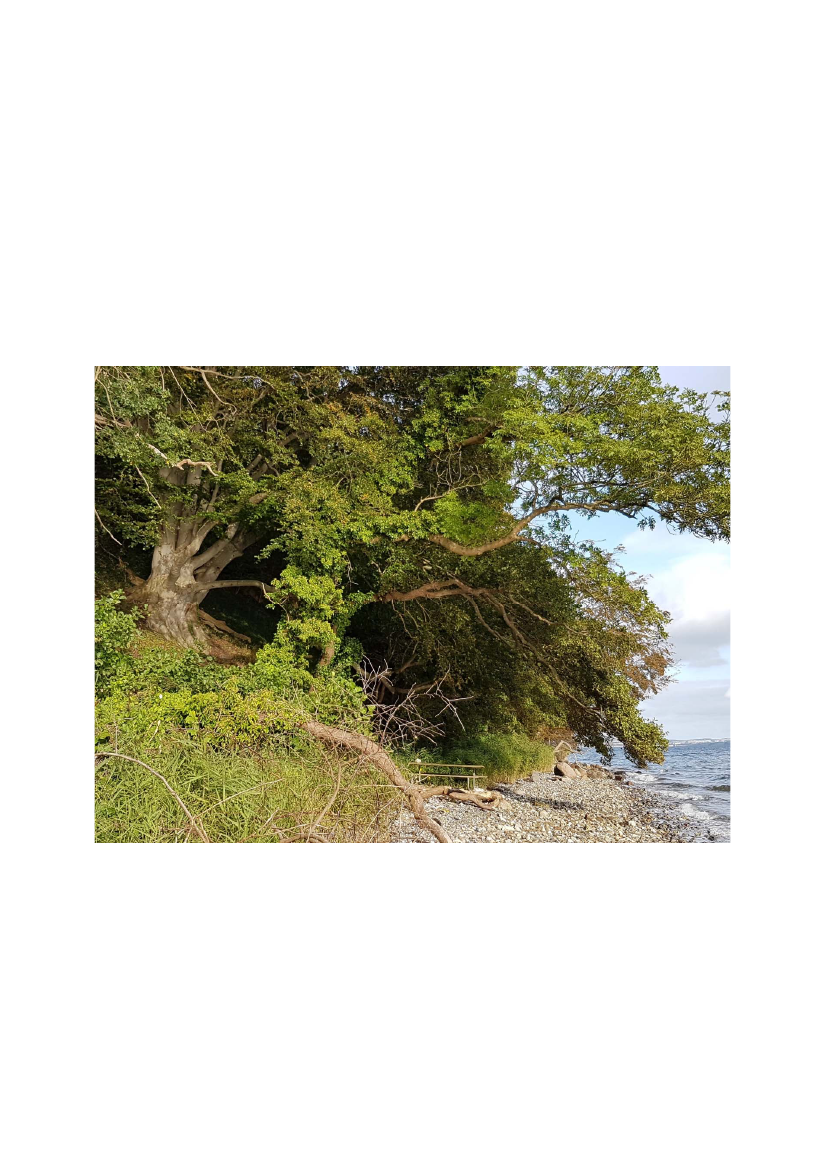 2496491_0001.png