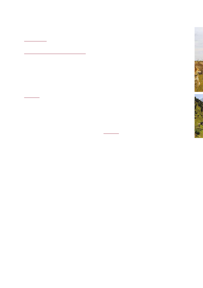 2499877_0012.png