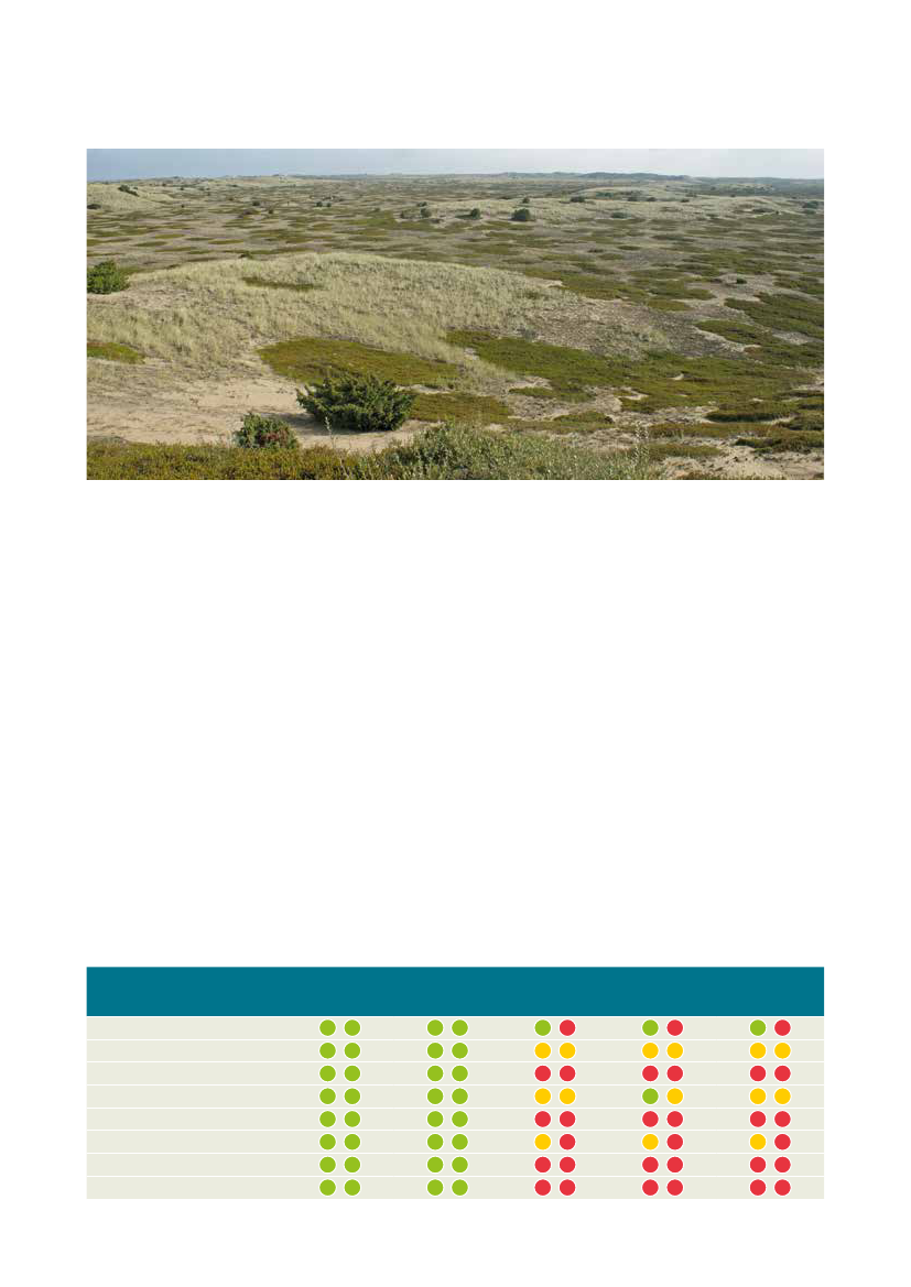 2499878_0018.png