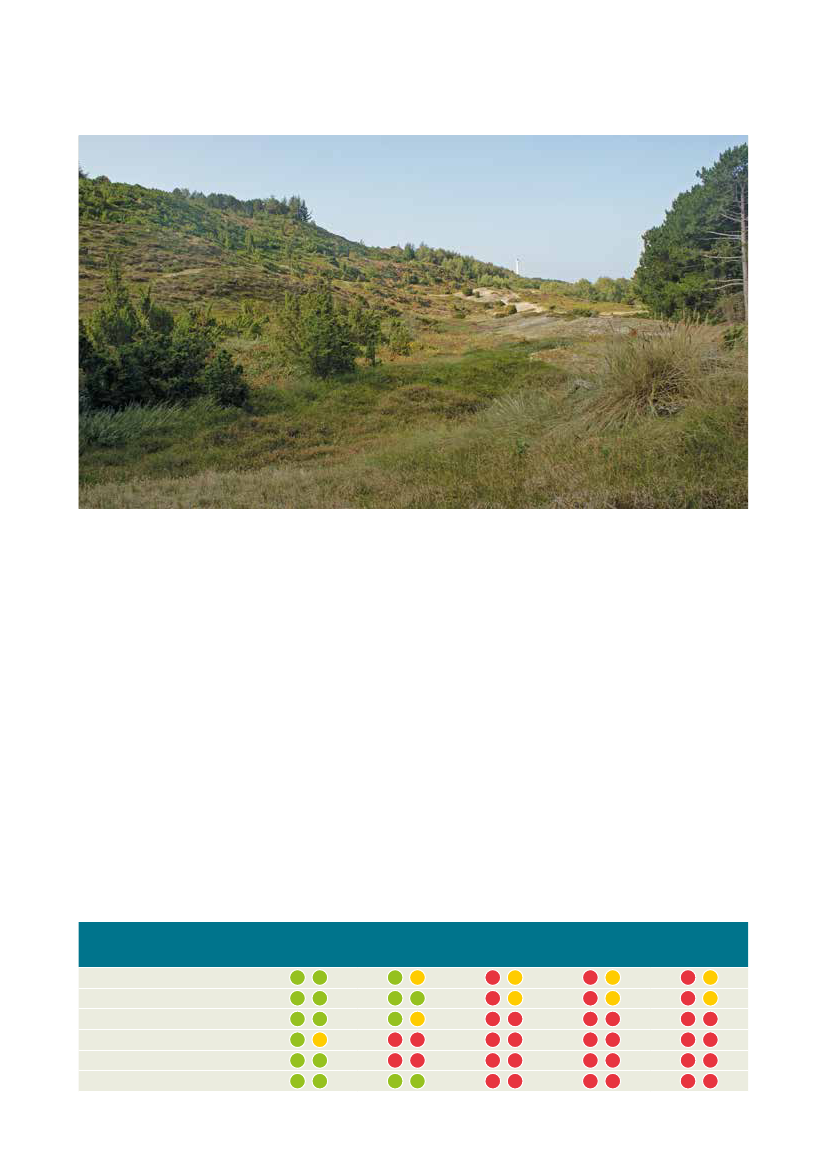2499878_0022.png