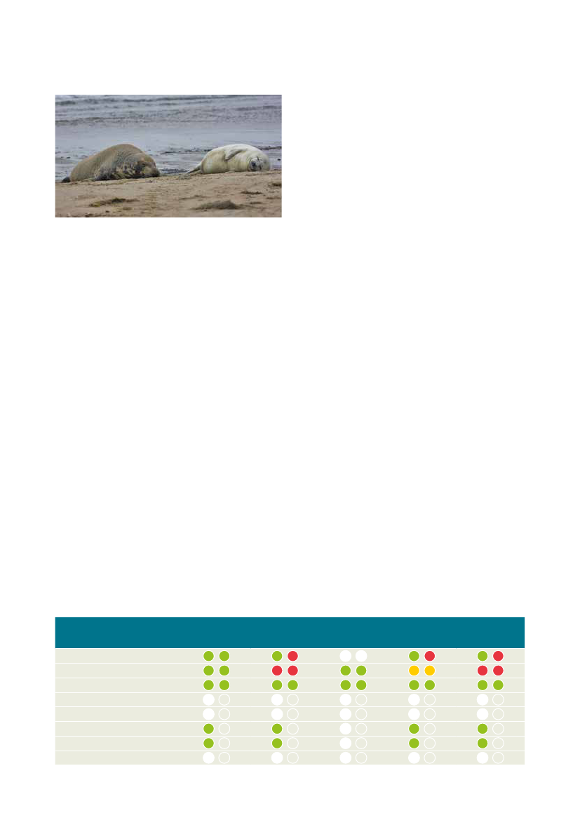 2499878_0038.png