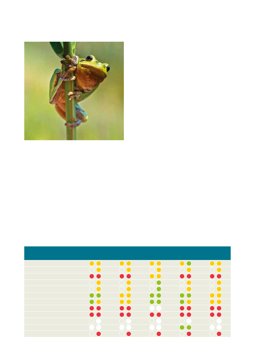 2499878_0042.png