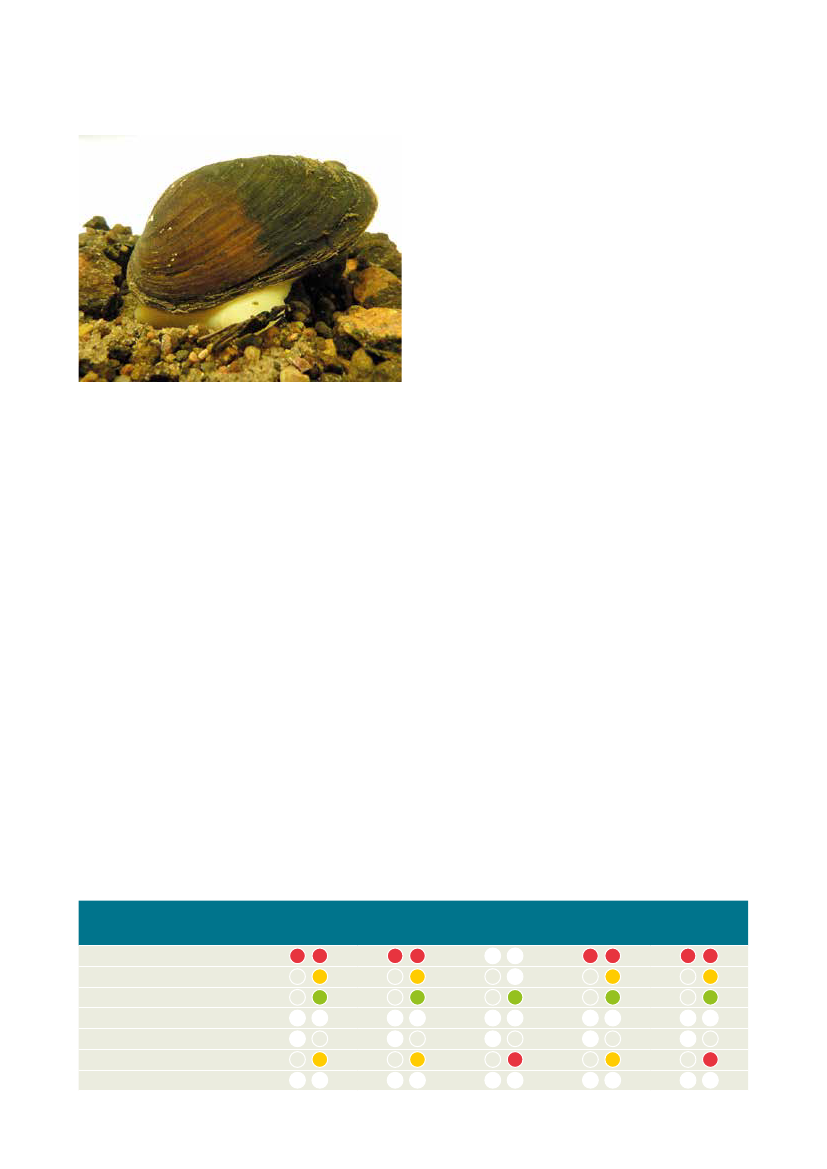 2499878_0046.png