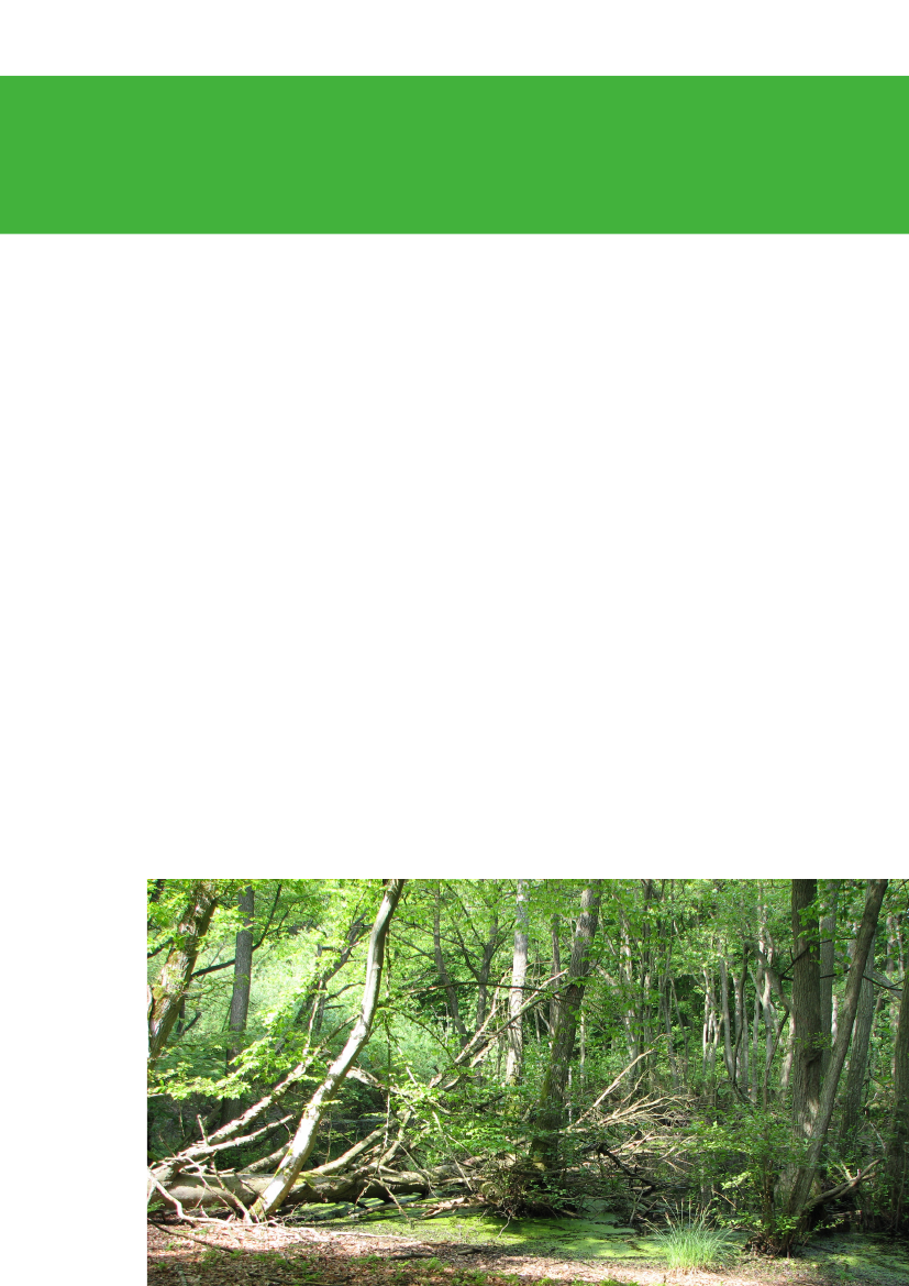 2499881_0286.png