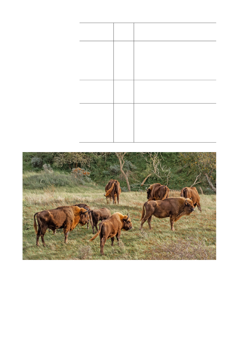 2512967_0035.png