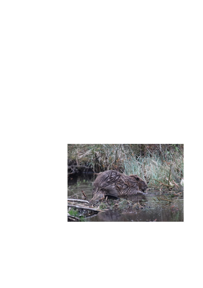 2512967_0037.png