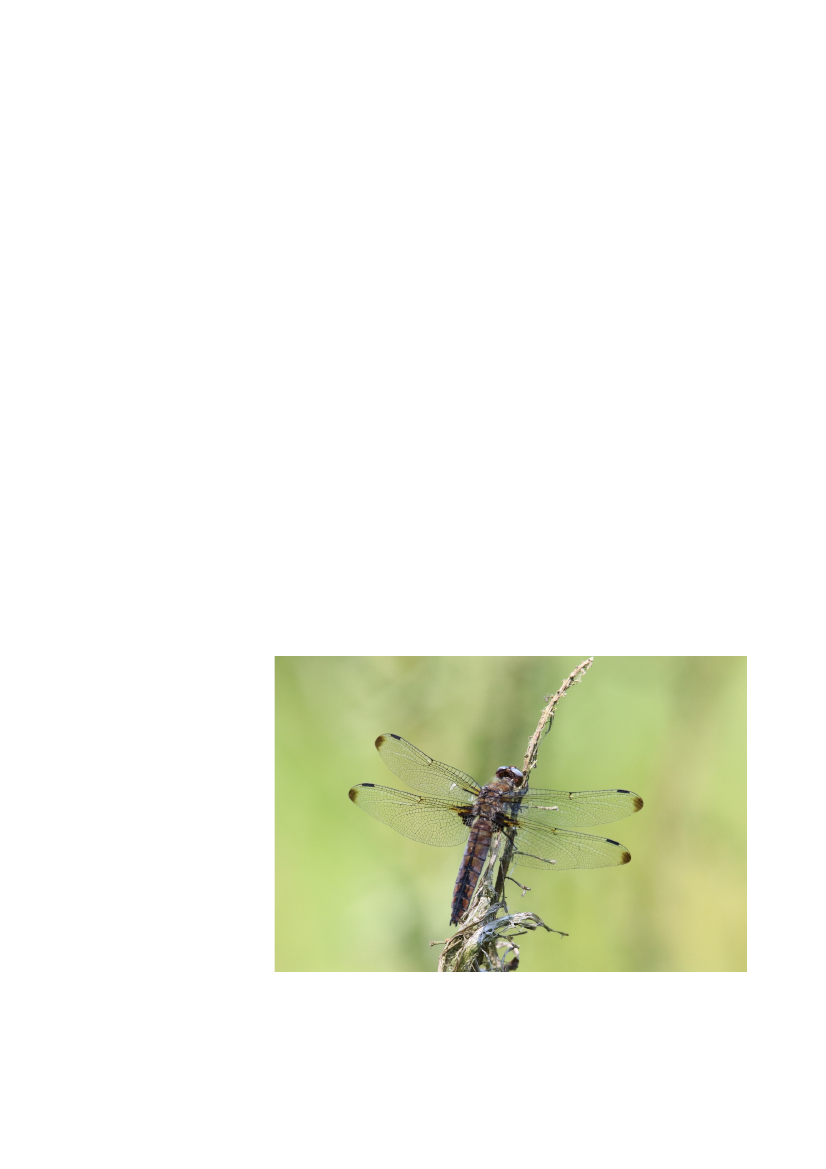 2512967_0061.png
