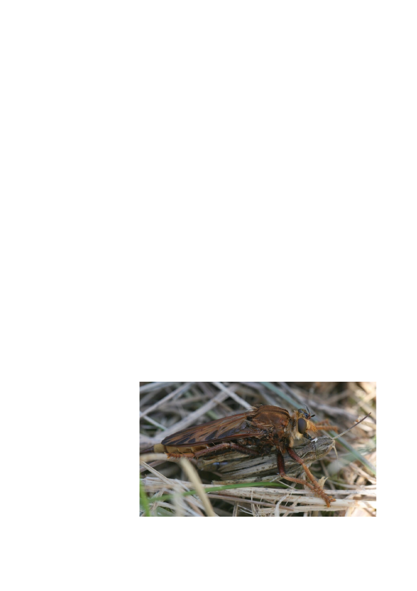2512967_0064.png