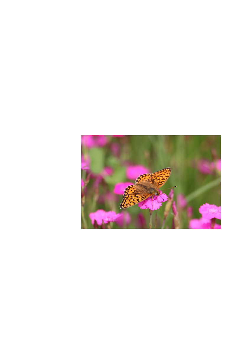 2512967_0066.png