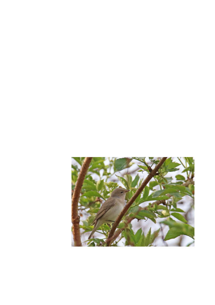 2512967_0071.png