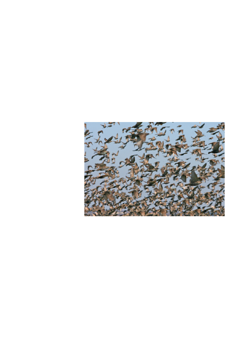 2512967_0074.png